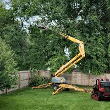 Best Tree Preservation Services  in Sonoma, CA